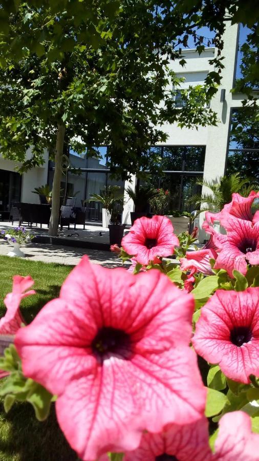 Mesecev Konak Bed & Breakfast Nis Luaran gambar