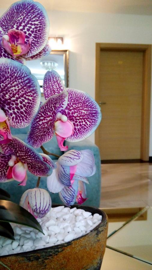 Mesecev Konak Bed & Breakfast Nis Luaran gambar